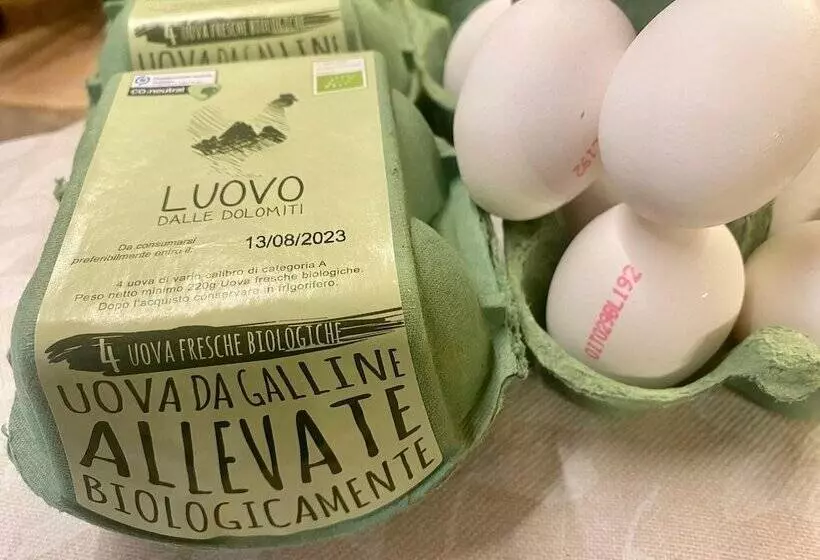 Dolomites Base Camp Hotel Olympia