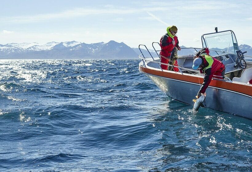 Northern Light Hotell Campsteinfjord