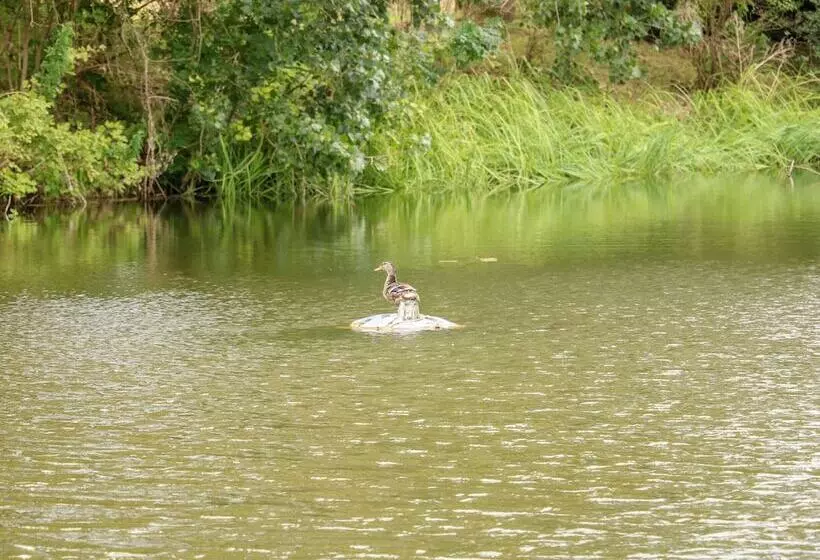 4 Lake View