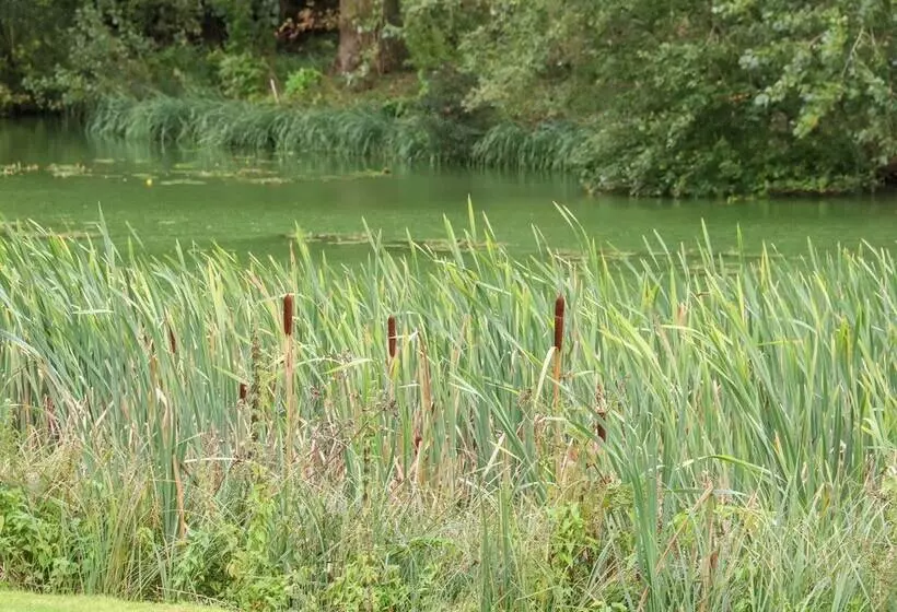 4 Lake View