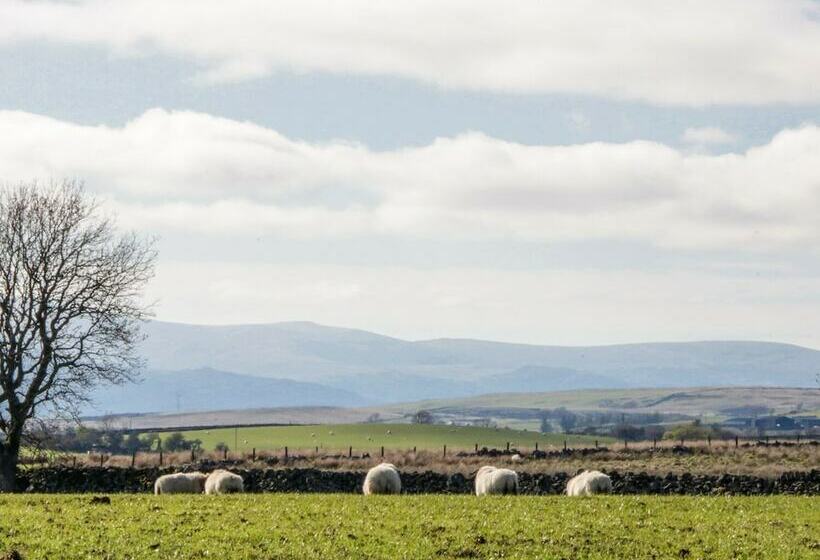 5 Ceirnioge Cottages