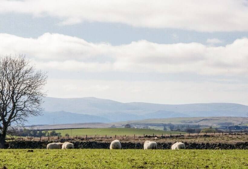 5 Ceirnioge Cottages