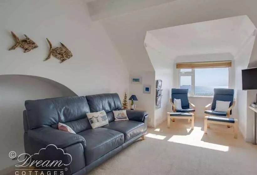 Dream View