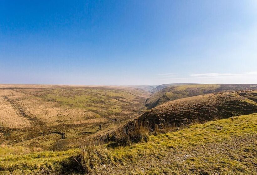 Exmoor View