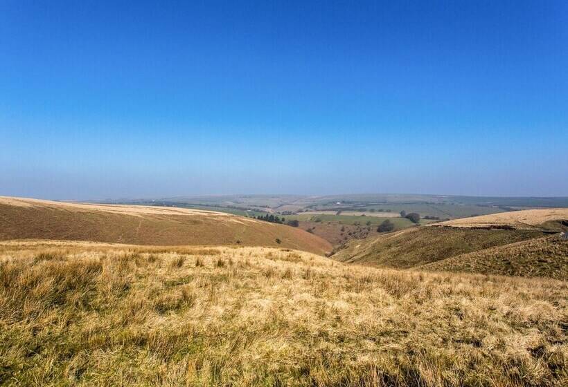 Exmoor View