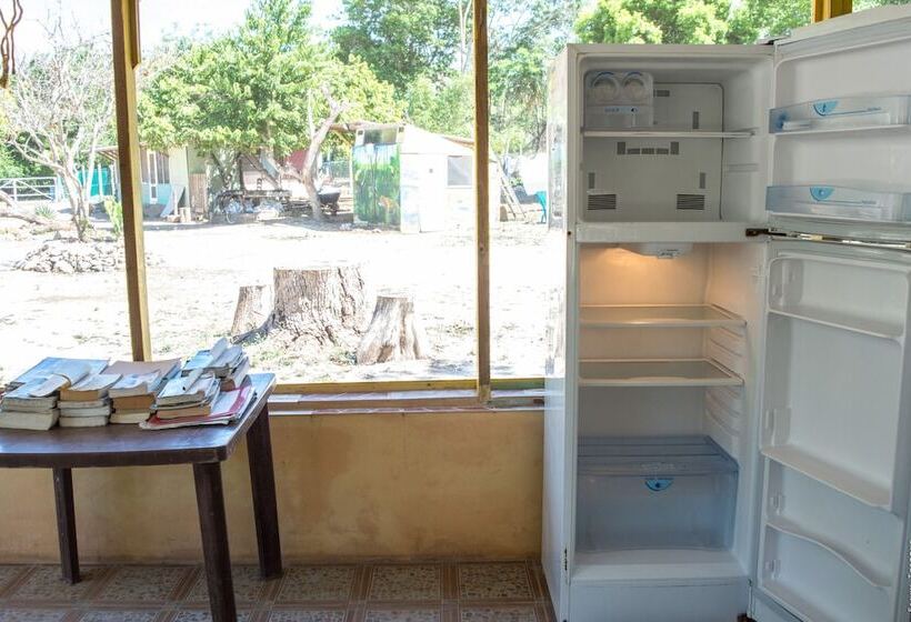 فندق صغير Backpackers Paradise