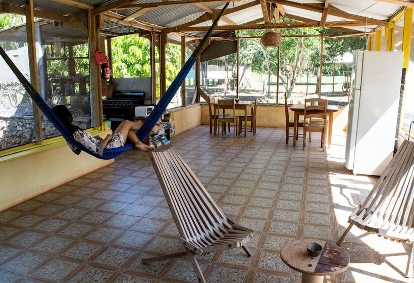 فندق صغير Backpackers Paradise