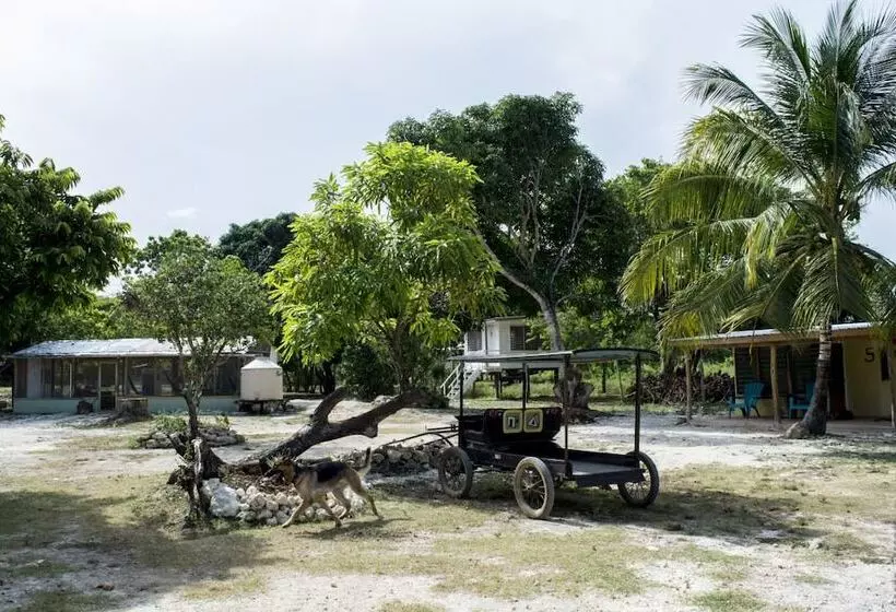 Retkeilymaja Backpackers Paradise