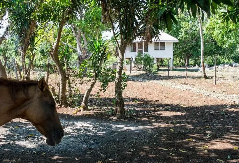 Retkeilymaja Backpackers Paradise