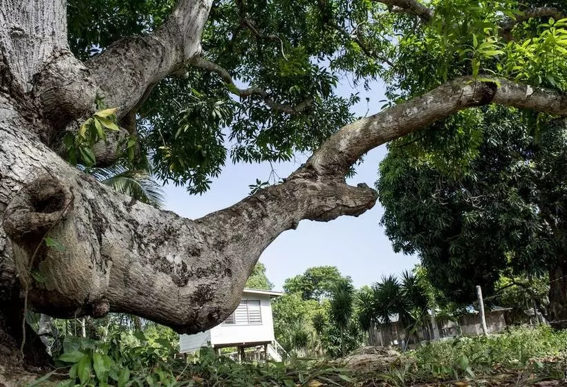 Retkeilymaja Backpackers Paradise