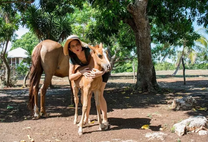 Retkeilymaja Backpackers Paradise