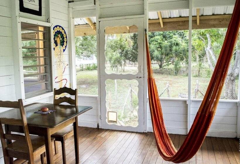 فندق صغير Backpackers Paradise