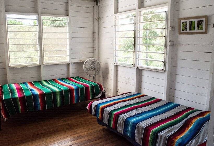 فندق صغير Backpackers Paradise