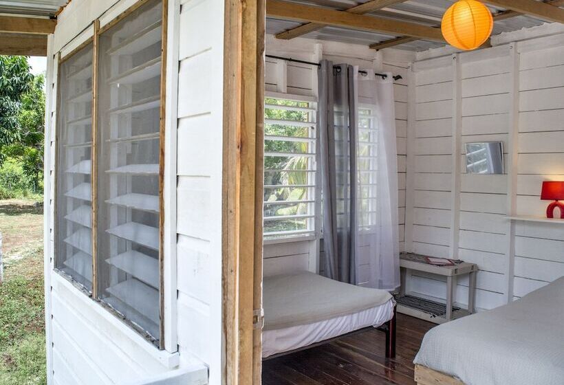 فندق صغير Backpackers Paradise