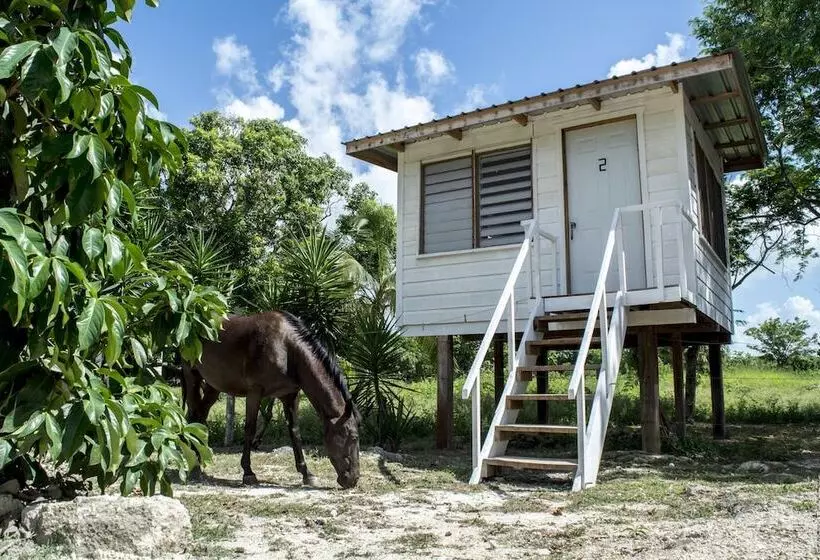 Retkeilymaja Backpackers Paradise