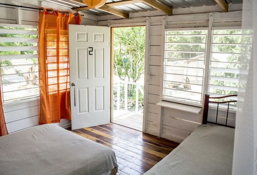 فندق صغير Backpackers Paradise