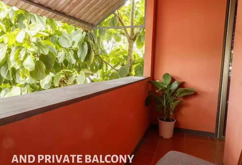 B&b Nomad House