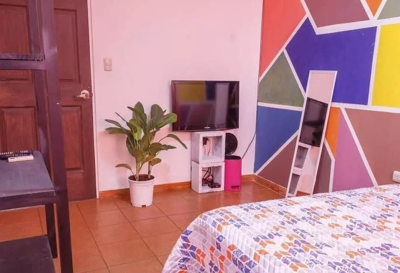 B&b Nomad House