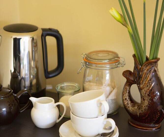 פונדק The Leaping Salmon