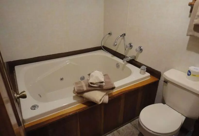 هتل Brackenridge Lodge