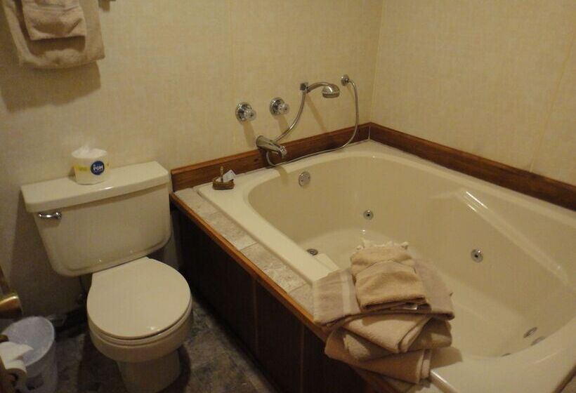 هتل Brackenridge Lodge