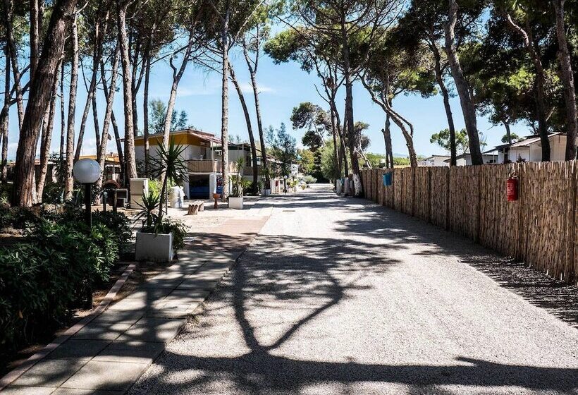 فندق Camping Villaggio Golden Beach