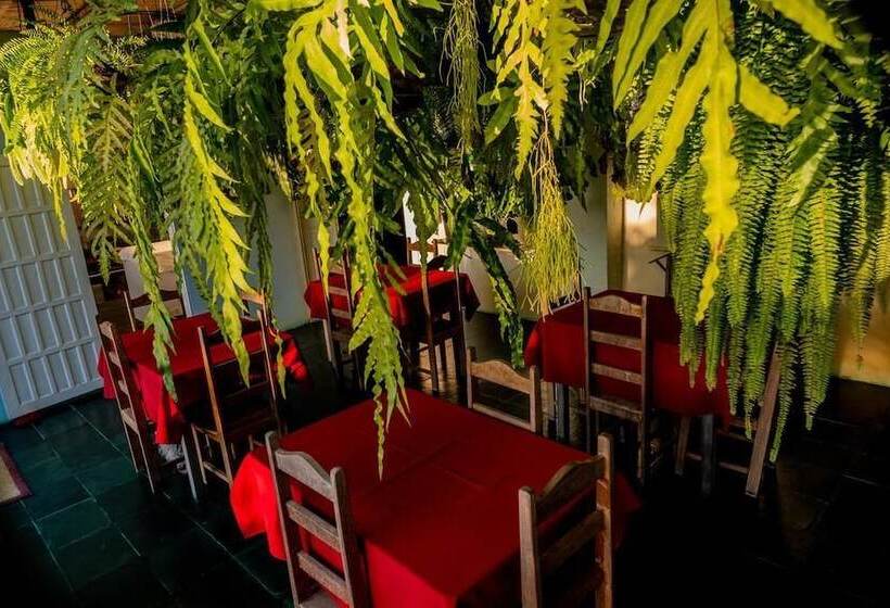 호텔 La Bodeguita Pousada