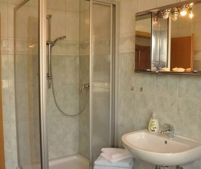 田舎風ホテル Haflingerhof Noack