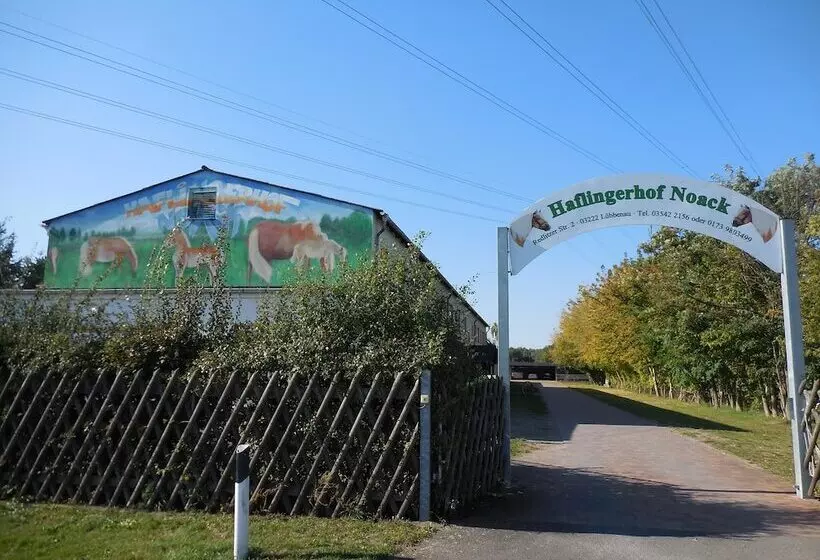 田舎風ホテル Haflingerhof Noack