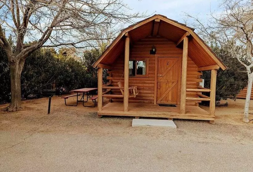 Kingman Koa
