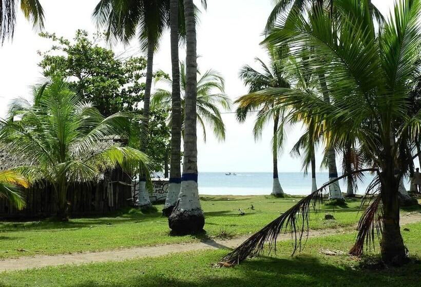 住宿加早餐 Acuarimantima