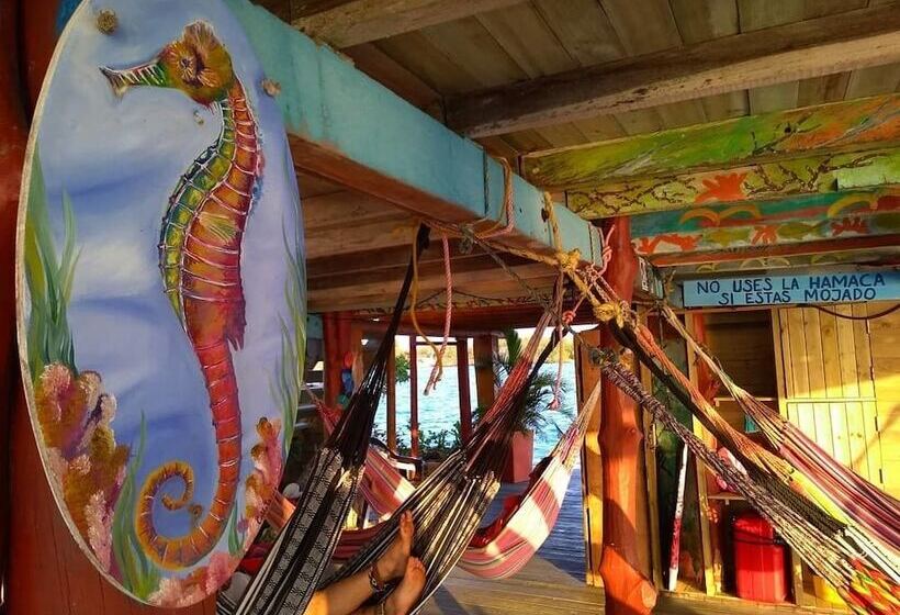 住宿加早餐 Acuarimantima