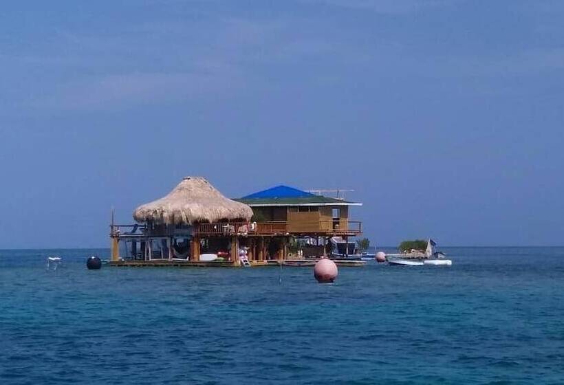 住宿加早餐 Acuarimantima