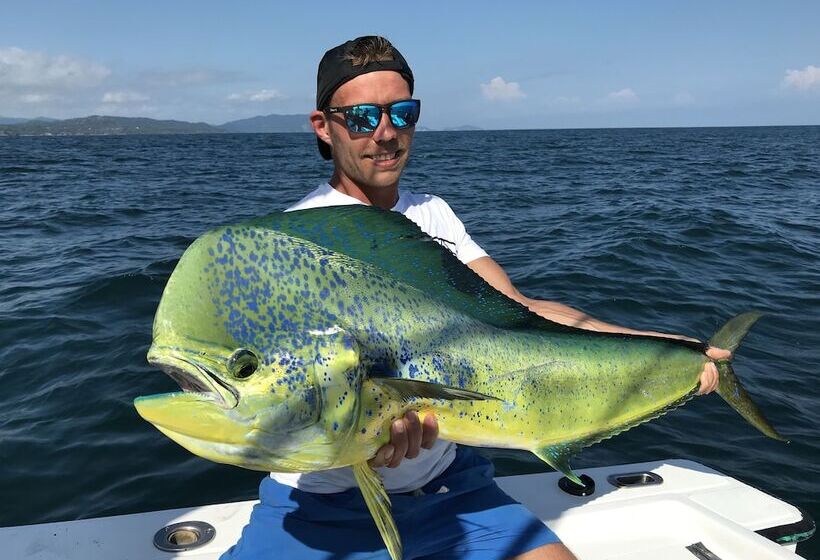 호텔 Bahia Rica Fishing & Kayak Lodge