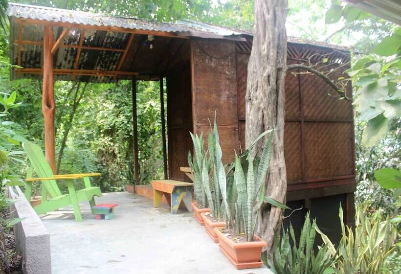 호텔 Bahia Rica Fishing & Kayak Lodge