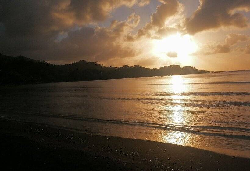 فندق Buenaventura