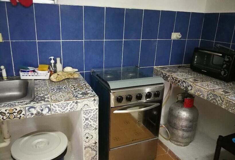 فندق Buenaventura