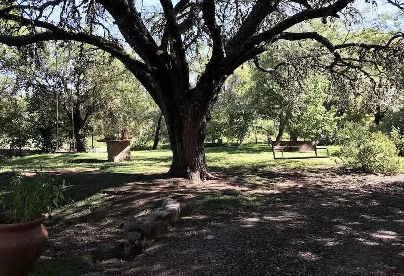 ホテル Cabanas De Campo El Algarrobo