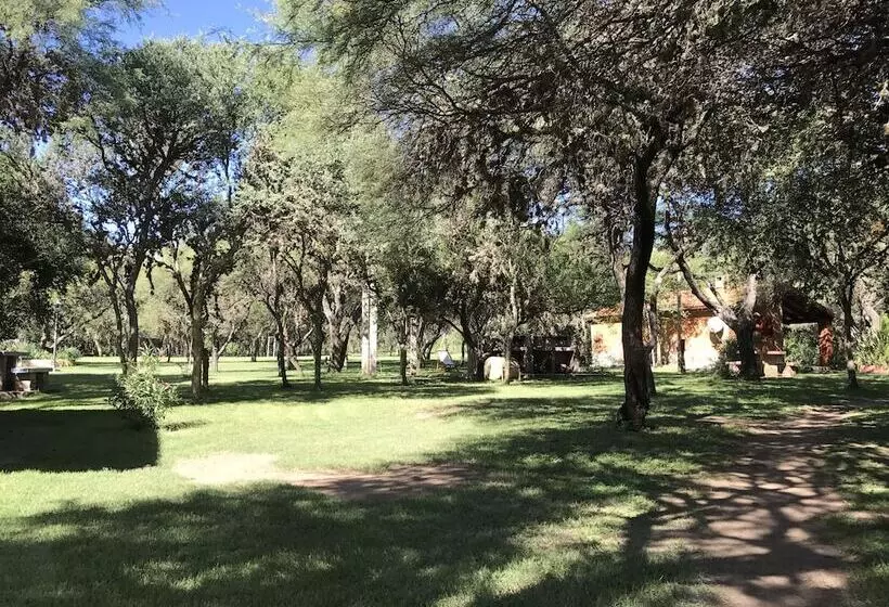 ホテル Cabanas De Campo El Algarrobo