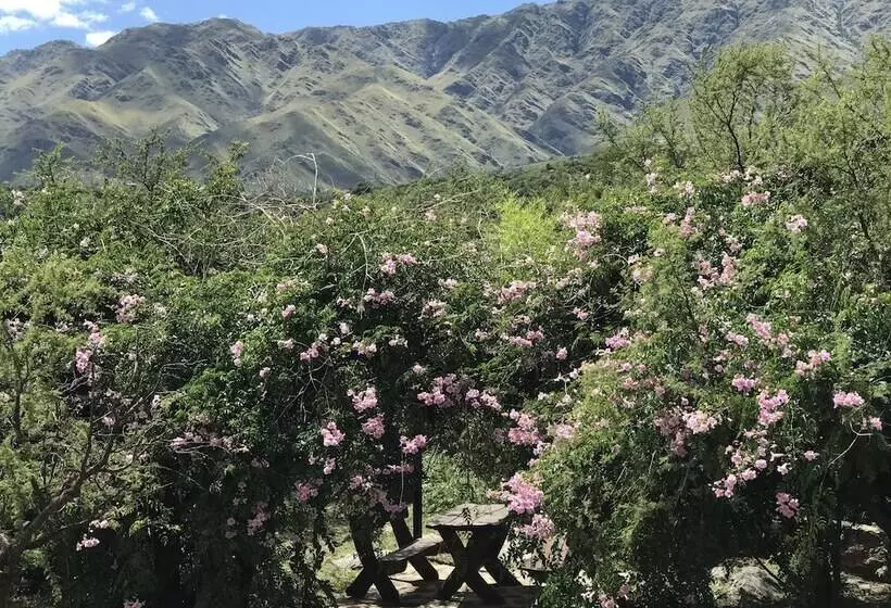 ホテル Cabanas Serranas Adriana