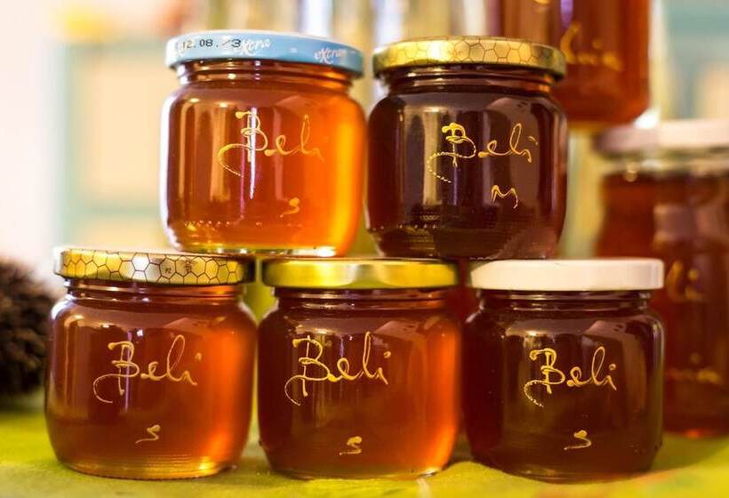 호텔 Pansion Tramontana