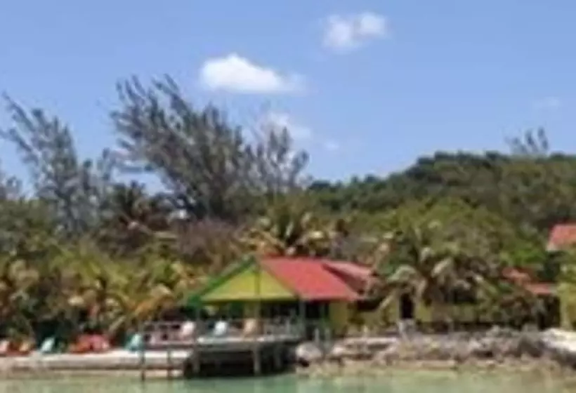 هتل Reef House Resort