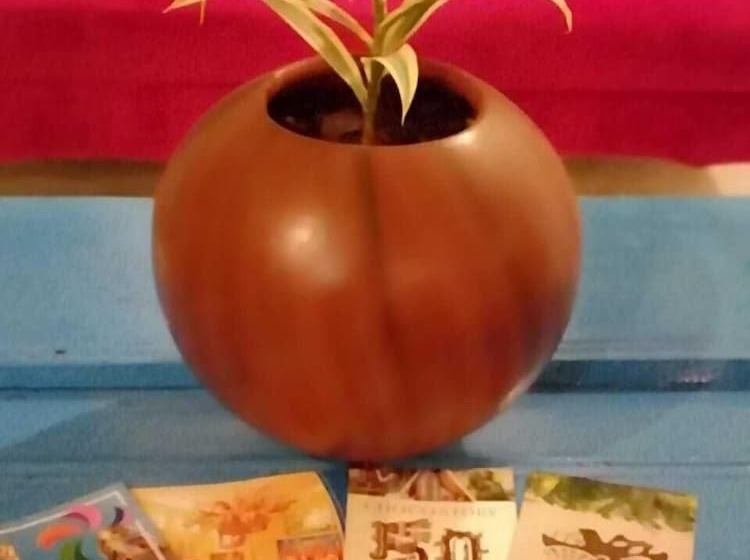 Panzió Casa Ja'abin