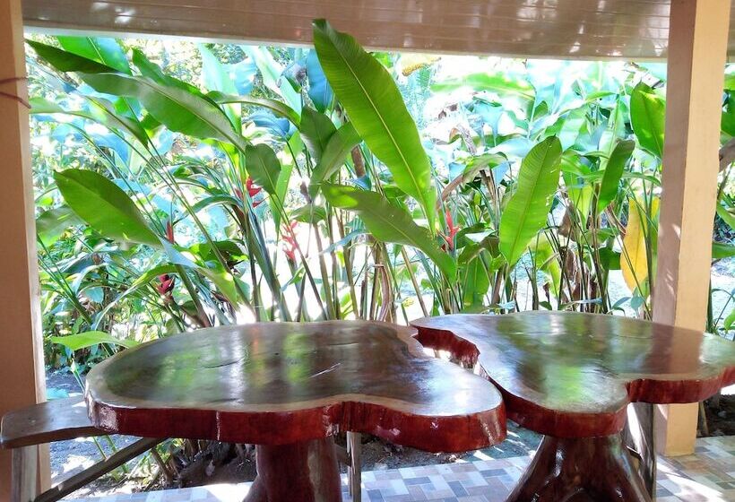 膳宿费 Casa Tucan