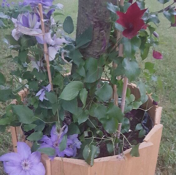 Toscana Restaurant And Bed & Breakfast