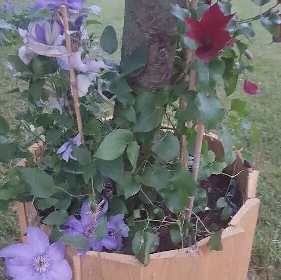 Toscana Restaurant And Bed & Breakfast