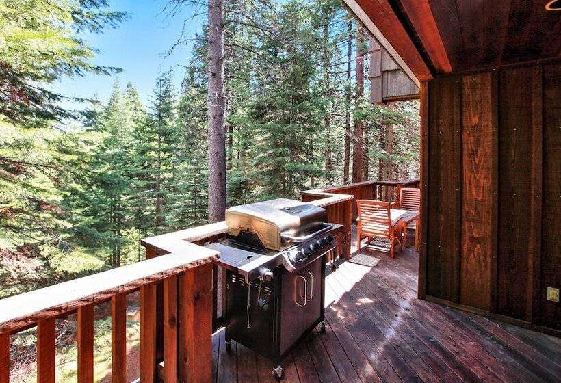 Yosemite Scenic Wonders   Fish Camp Area