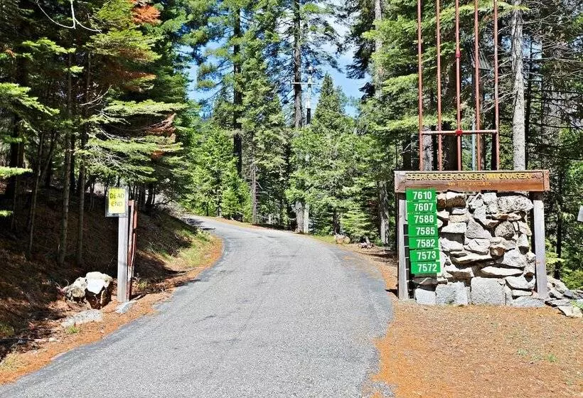 Yosemite Scenic Wonders   Fish Camp Area