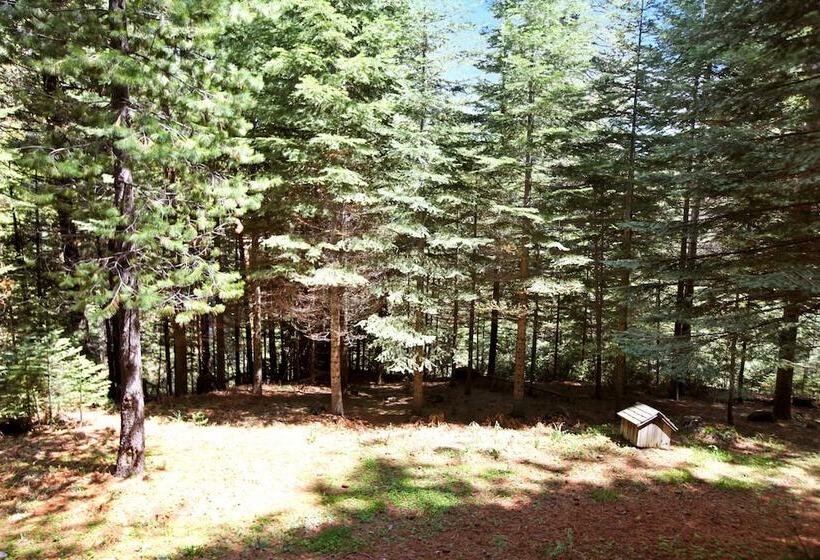 Yosemite Scenic Wonders   Fish Camp Area