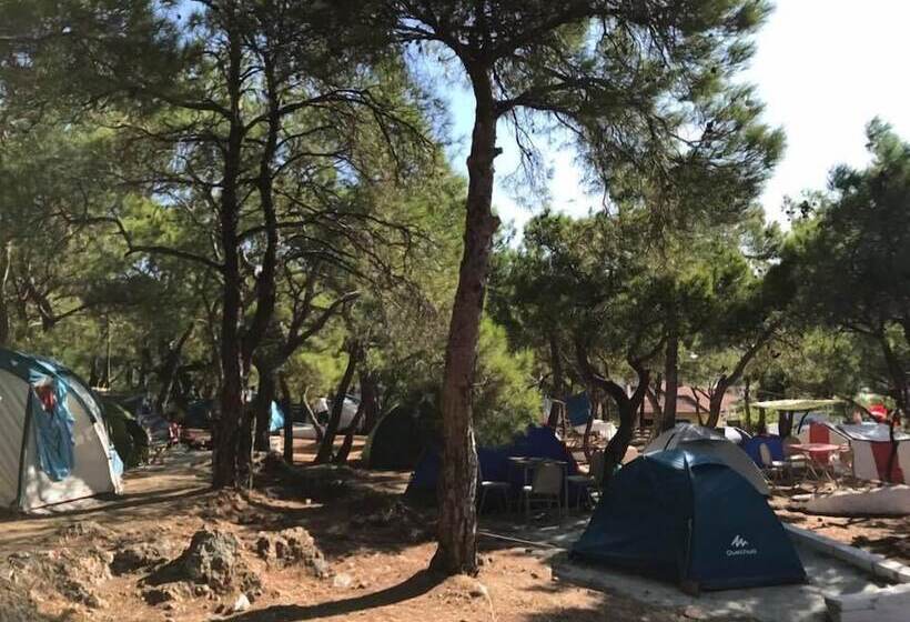 هاستل Camlik Kamping